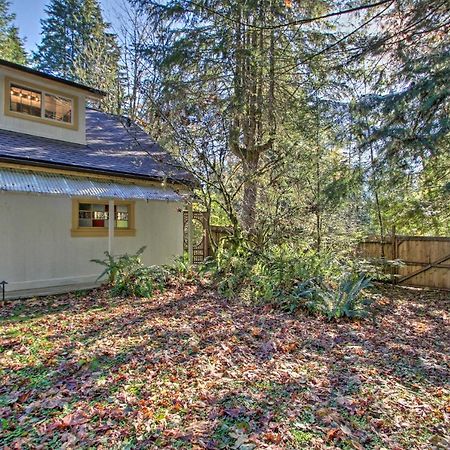 Owls Nest Studio With Hot Tub Hike Nearby! Ашфорд Екстериор снимка